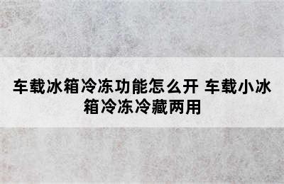 车载冰箱冷冻功能怎么开 车载小冰箱冷冻冷藏两用